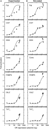 Figure 6.