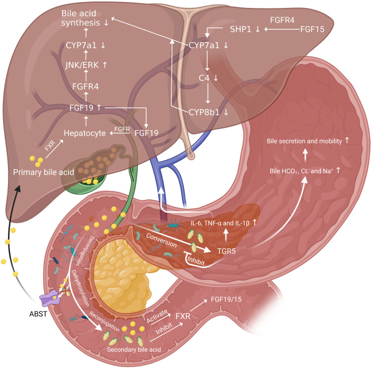 Figure 2