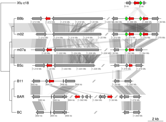 Figure 7