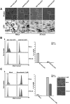 FIG 2
