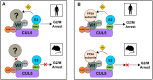 FIG 6