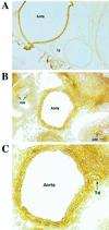 FIG. 5