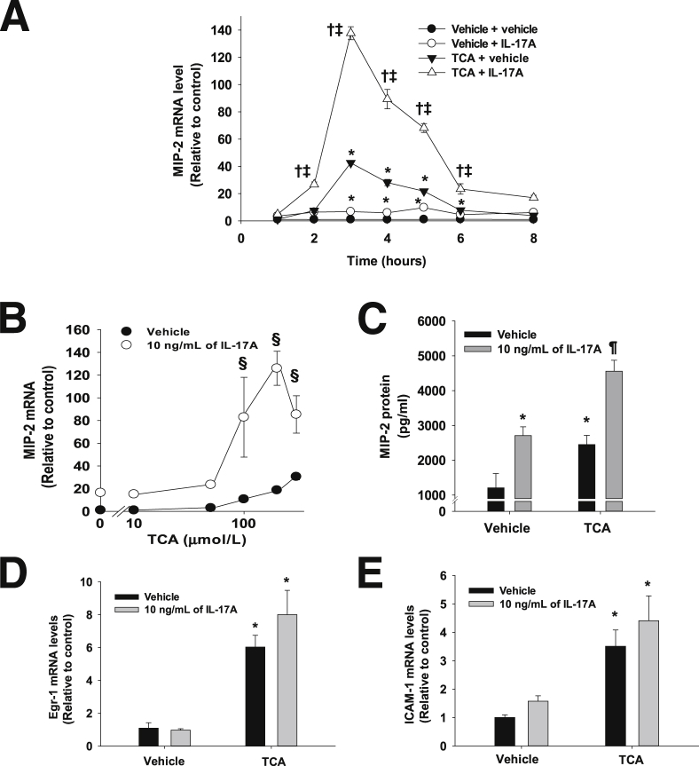 Figure 6