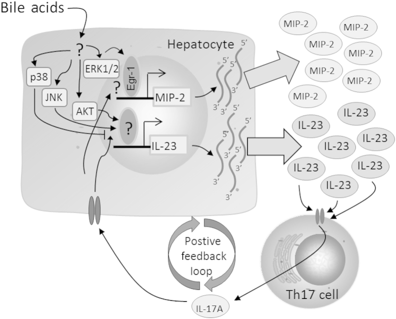 Figure 10