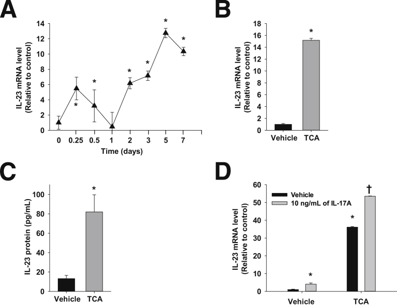 Figure 7