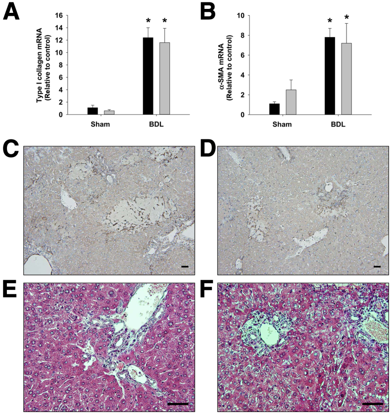 Figure 5