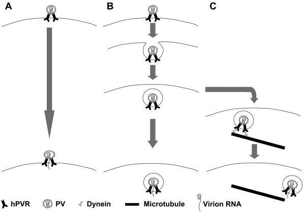 FIG. 10.