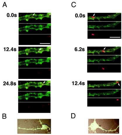 FIG. 9.