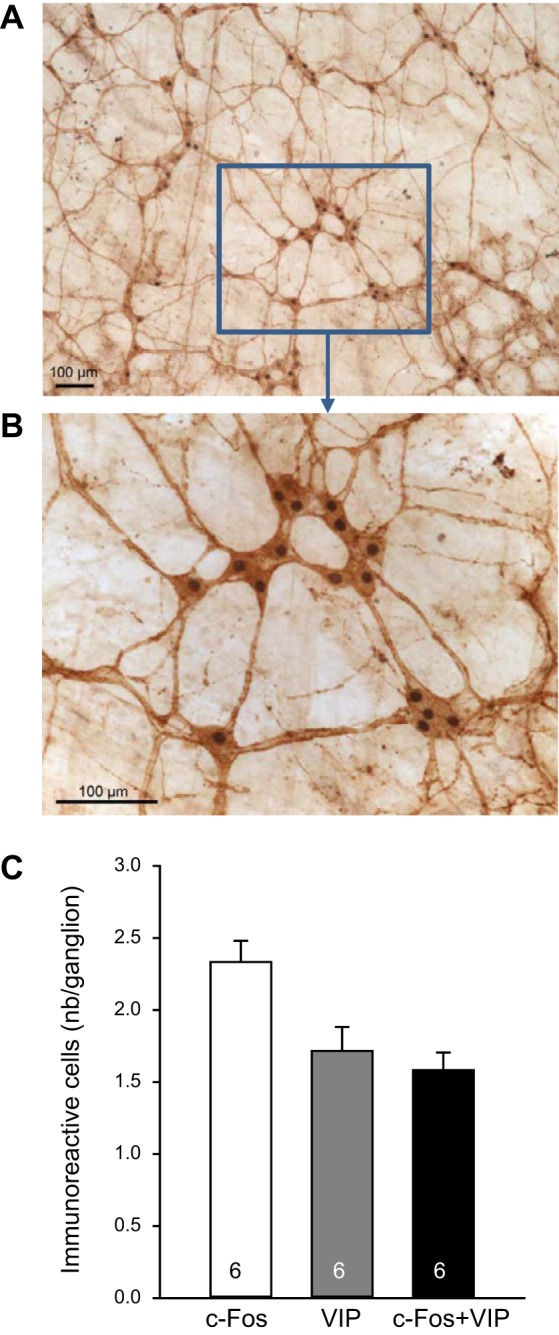 Fig. 6.