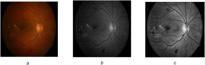 Fig. 2