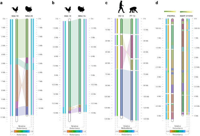 Figure 2: