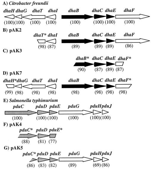 FIG. 2.