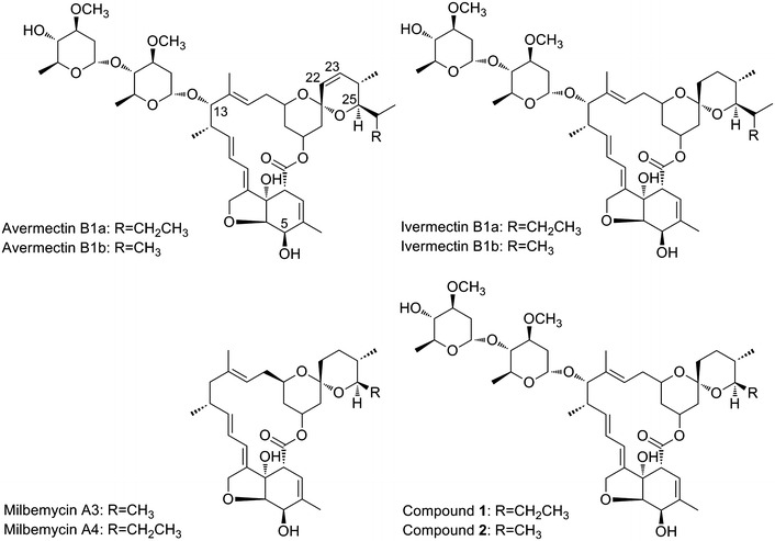 Fig. 1