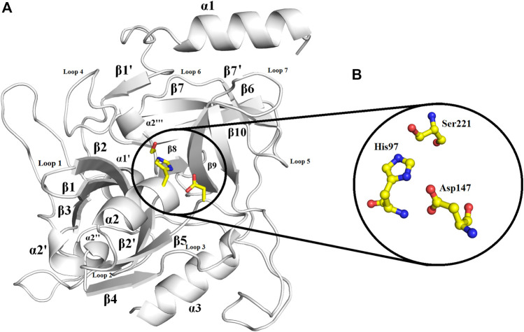 FIGURE 2