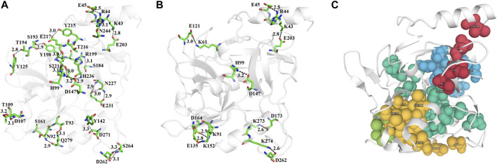 FIGURE 3