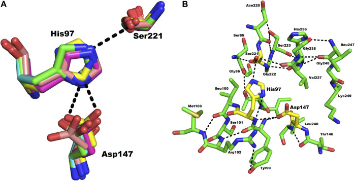 FIGURE 4