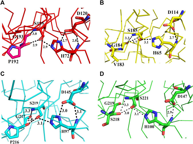 FIGURE 7