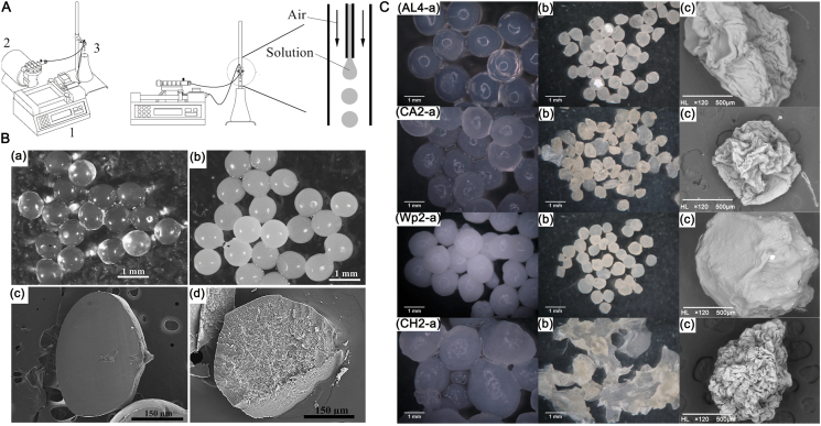 Figure 3