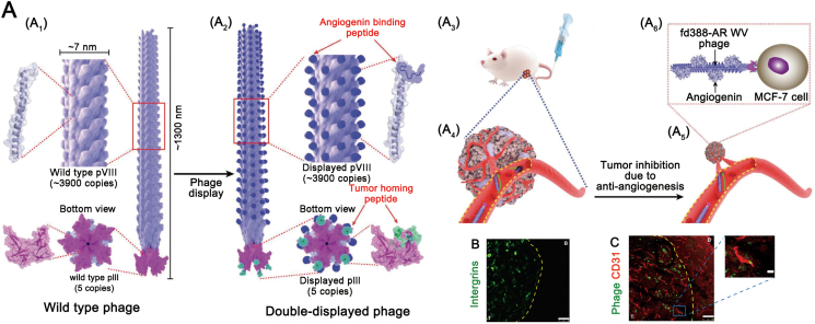 Figure 5