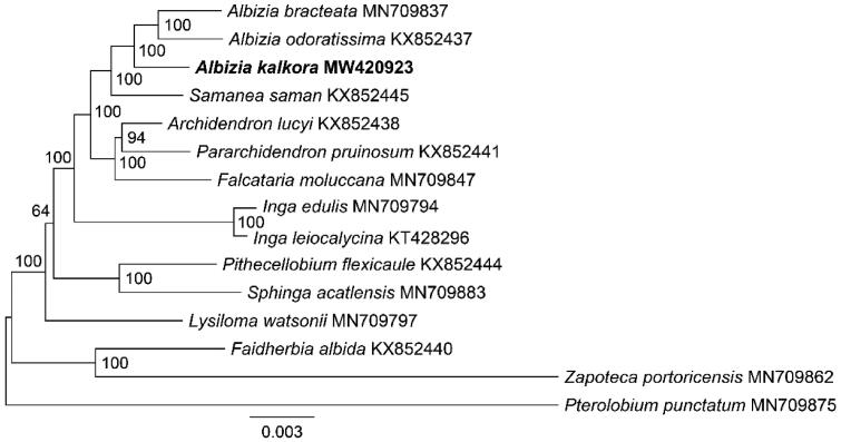 Figure 3.