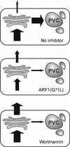 Figure 10.