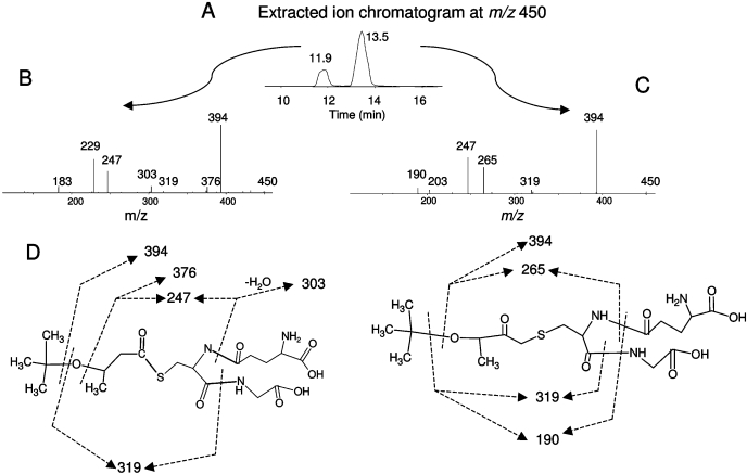 Fig. 8.