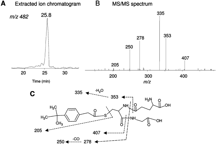 Fig. 7.