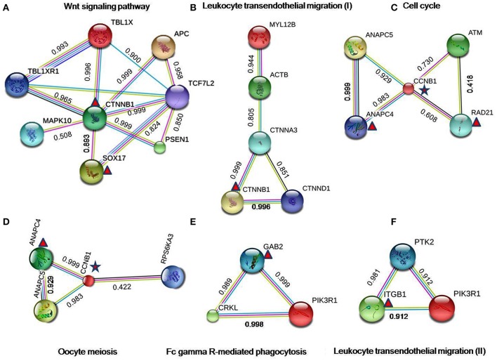 Figure 6