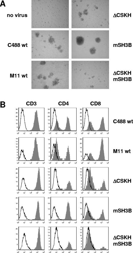 FIG. 4.