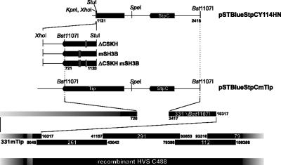 FIG. 3.