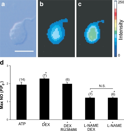 Fig. 2