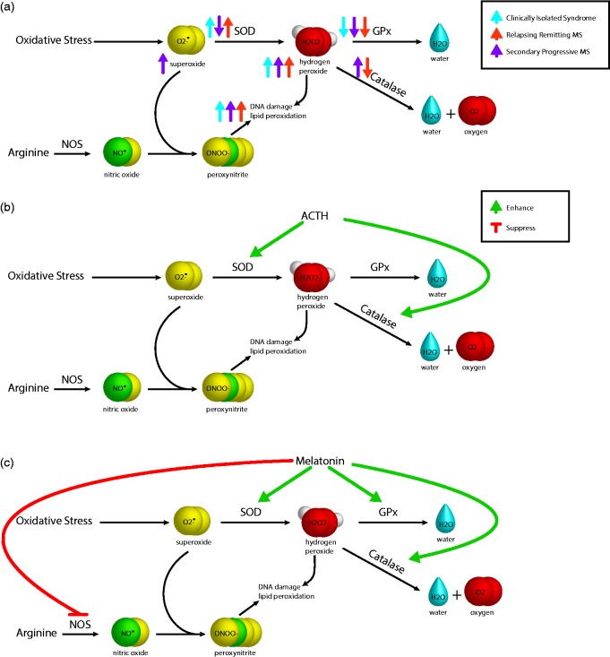 Figure
1.