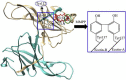 Figure 21