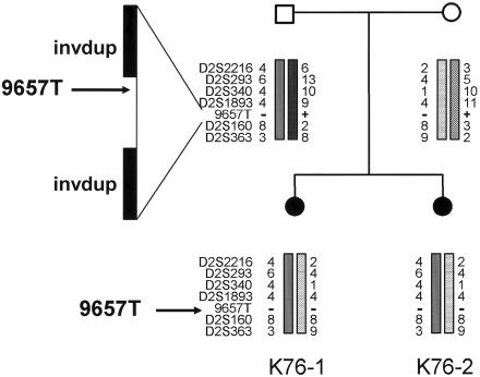 Figure  3