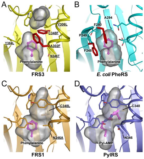 Figure 4