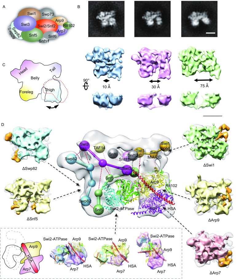 Figure 1