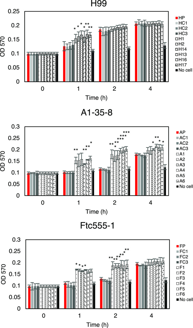 FIG 6