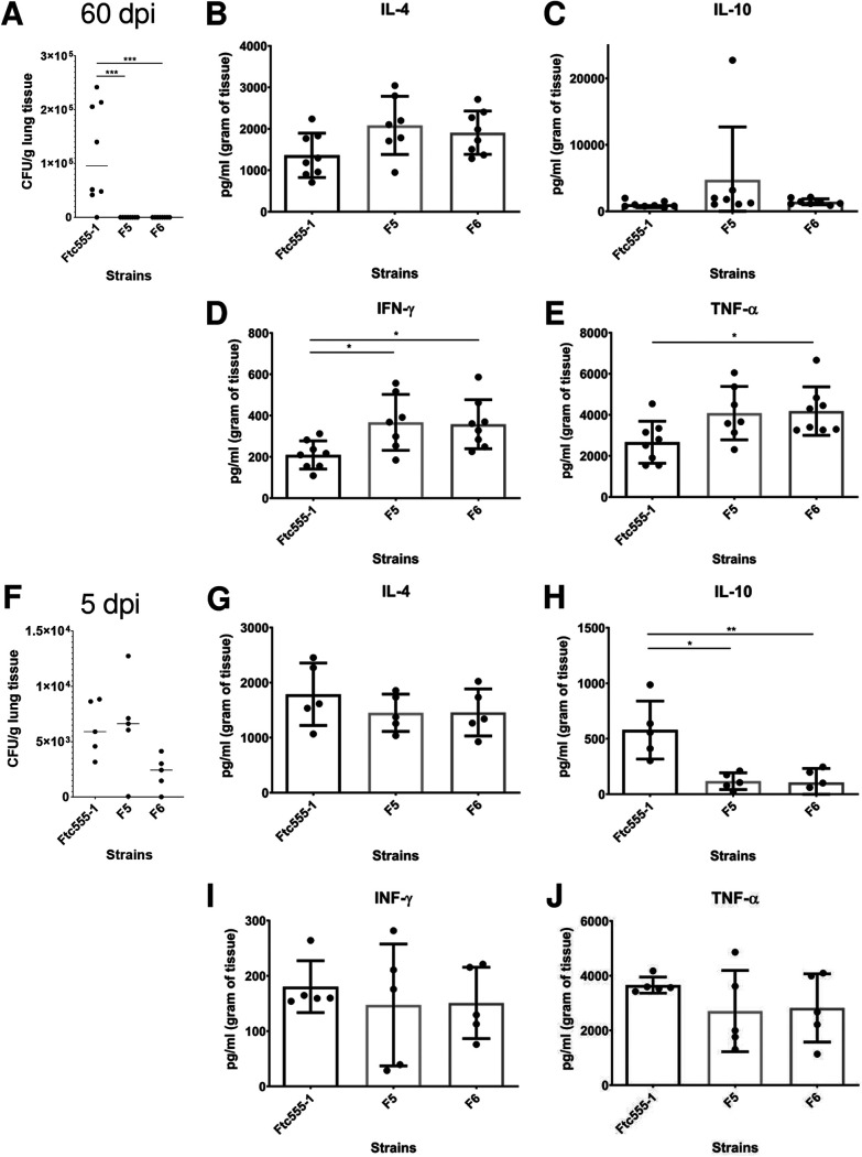 FIG 12