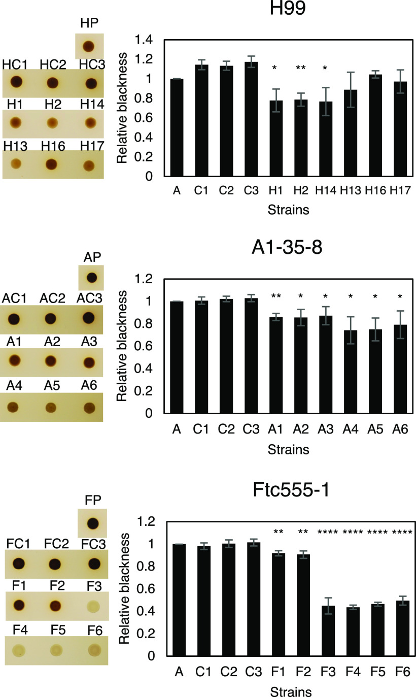 FIG 7