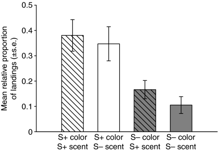 Fig. 6.