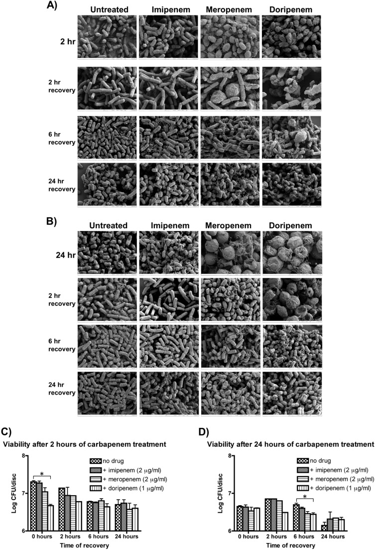 FIG 4