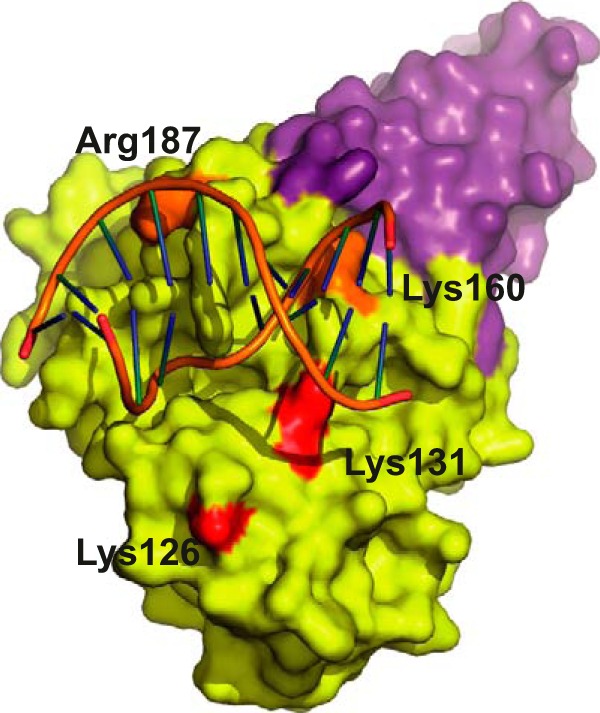 FIGURE 7.