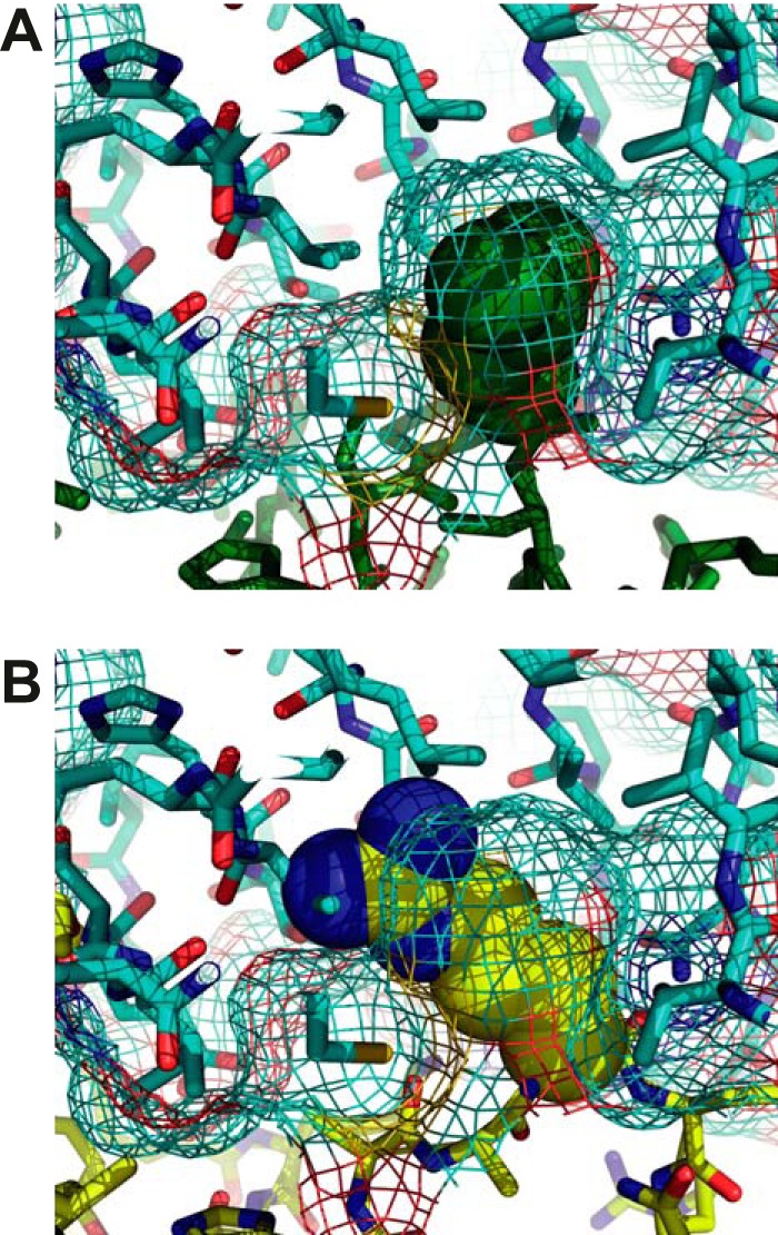 FIGURE 6.