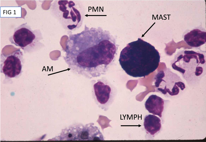 Fig 1