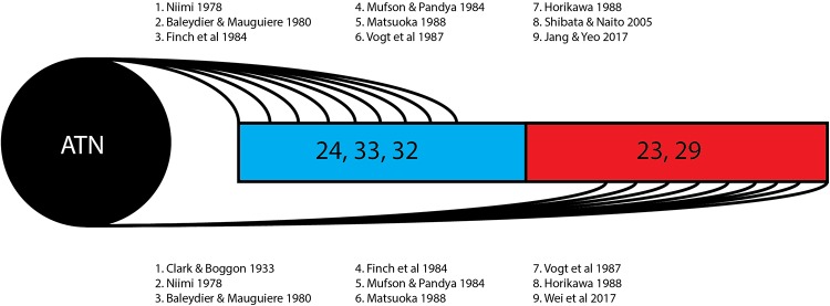 FIGURE 3