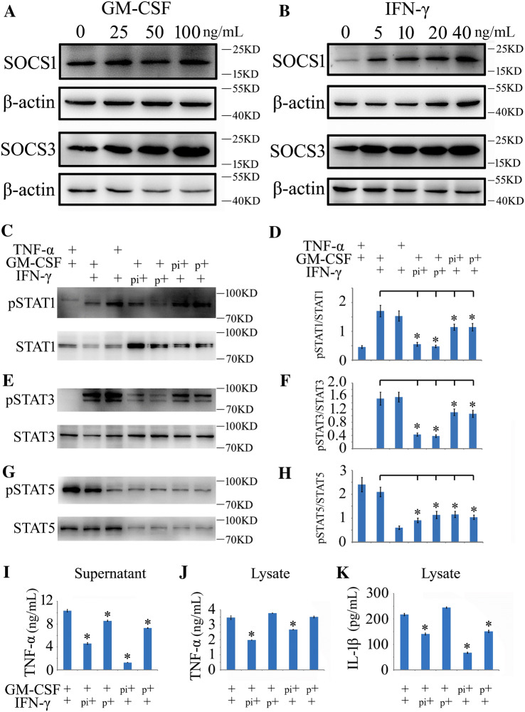 Fig. 7