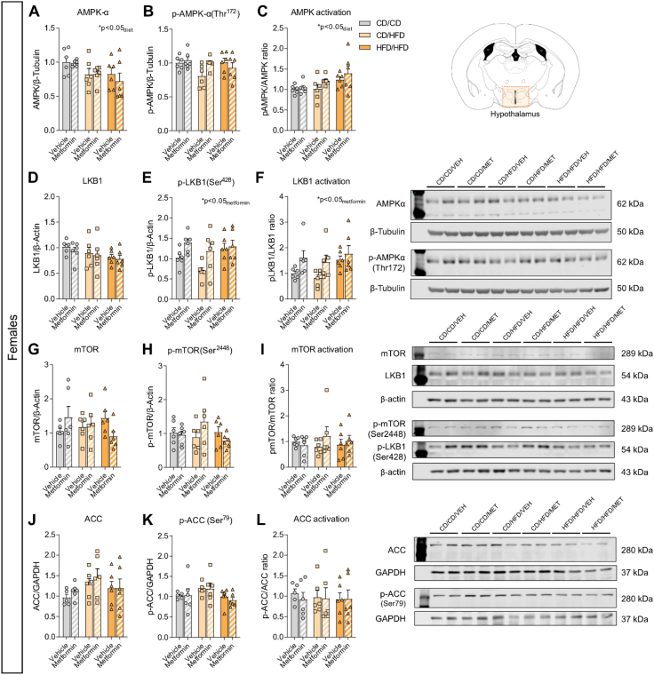 Figure 7