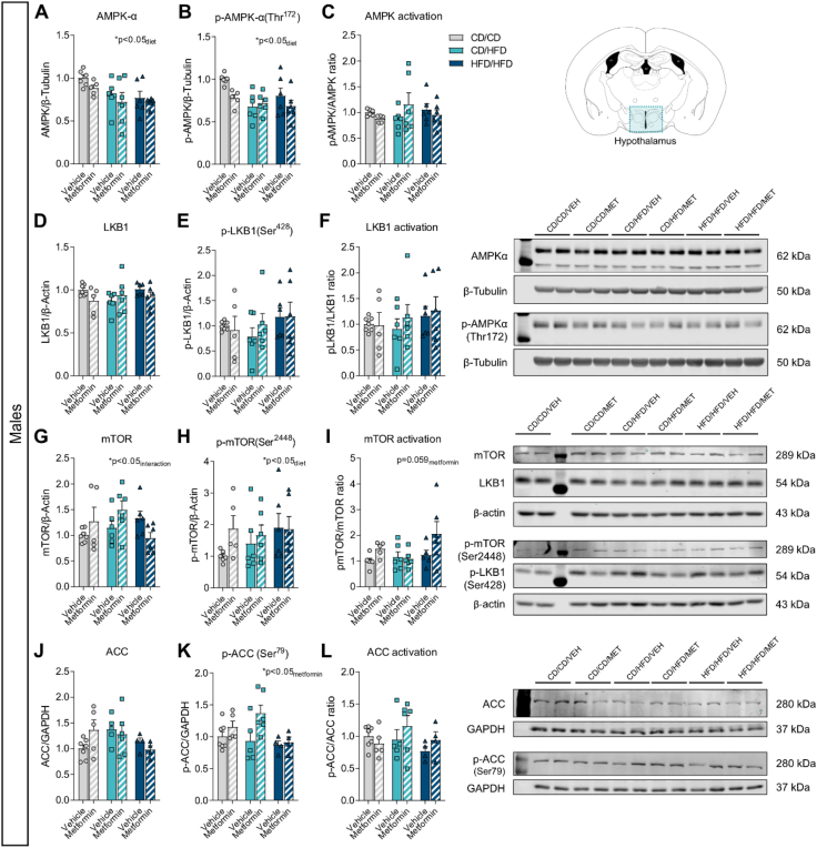 Figure 6