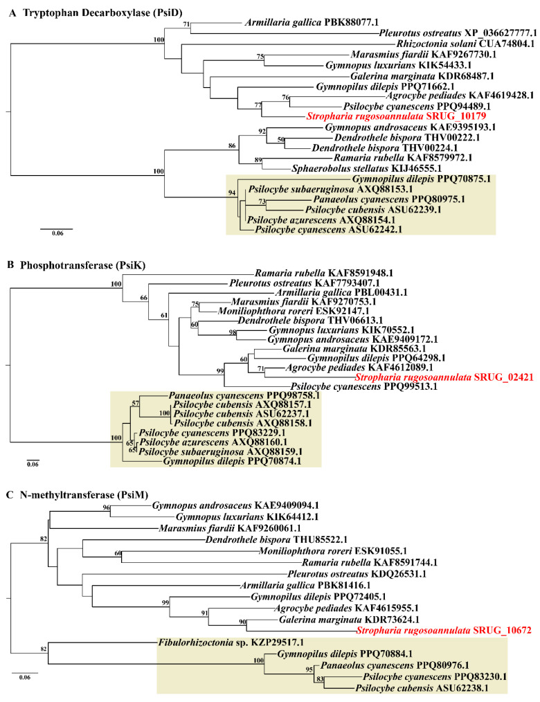 Figure 6