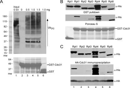 FIG. 7.